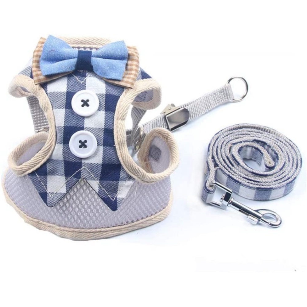 Puppy Harness and Leash Set for Walking